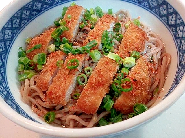 ヒレカツと葱のお蕎麦（温）