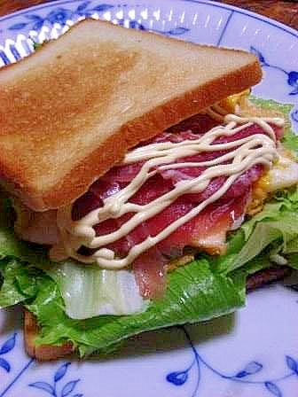 朝食に　生ハムと卵のホットサンド