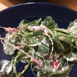 二十日大根間引き菜レシピ 作り方の人気順 簡単料理の楽天レシピ 二十日大根間引き菜レシピ 作り方の人気順 簡単料理の楽天レシピ