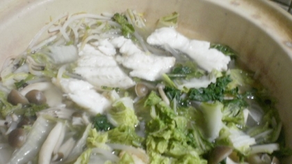 タラの切り身とサラダ白菜の水炊き