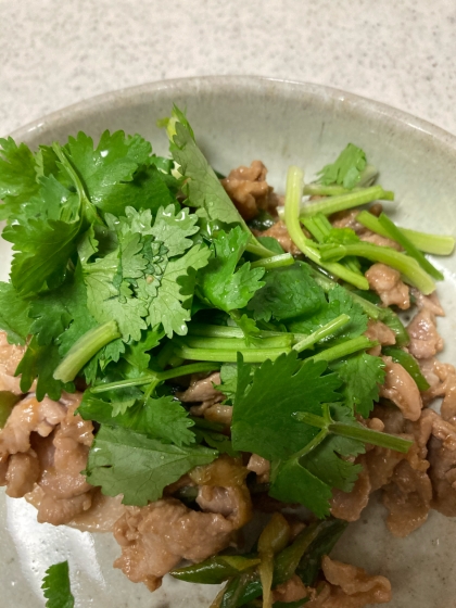 生パクチーと食べる　豚肉のエスニック炒め