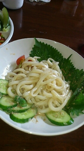 簡単献立☆夏ばてにも・・・サラダうどん♪