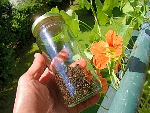 シャキ・ピリ!金蓮花のふりかけ