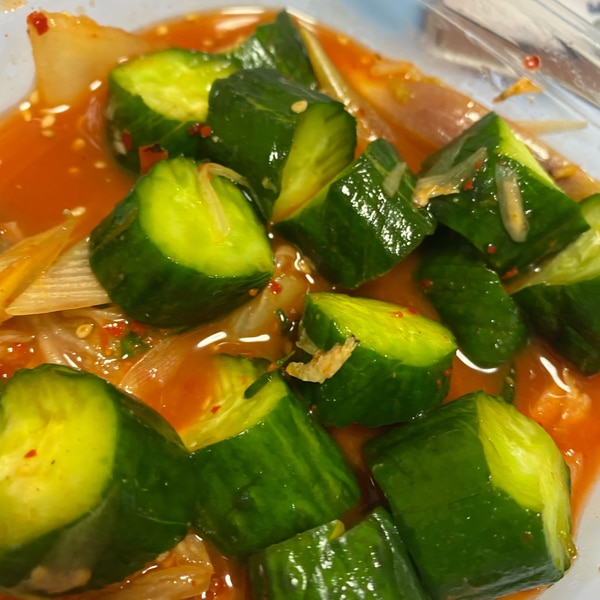 醸造所 押し下げる アマチュア きゅうり 漬物 辛い 役に立たない 南極 素晴らしい 醸造所 押し下げる アマチュア きゅうり 漬物 辛い 役に立たない 南極 素晴らしい