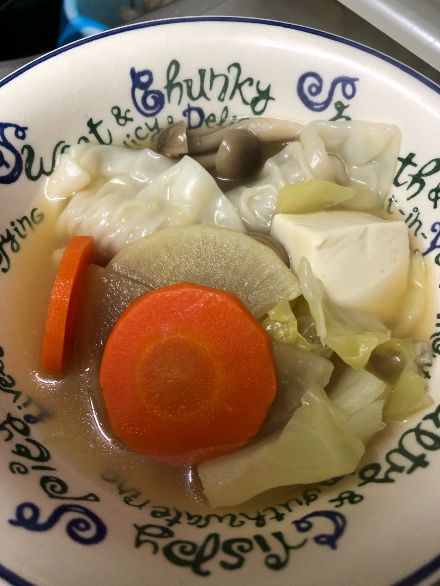 野菜たっぷりスープ餃子