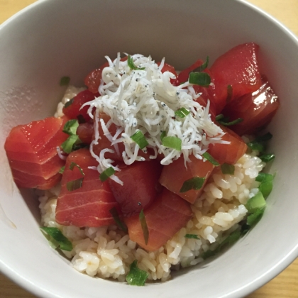 ＊簡単マグロ漬け丼