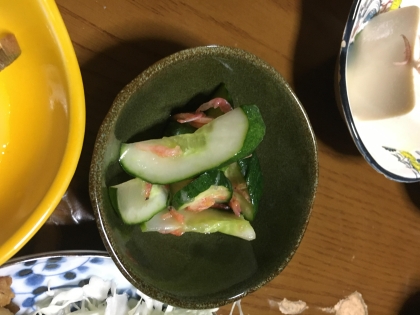 きゅうりと桜海老の中華炒め