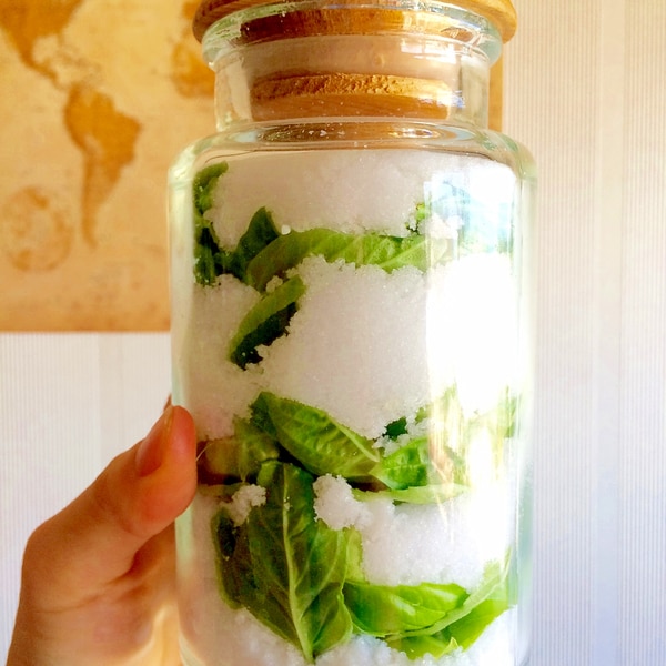 常備アイテム 自家製バジルソルト レシピ 作り方 By Aska Com 楽天レシピ 常備アイテム 自家製バジルソルト レシピ 作り方 By Aska Com 楽天レシピ