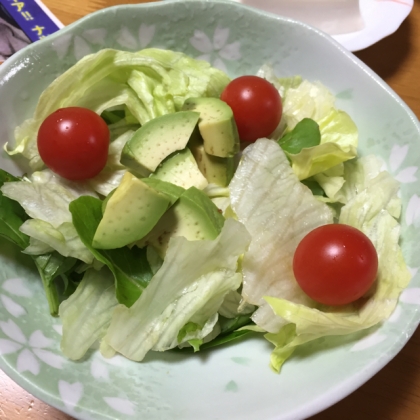 ミニトマトで作ってみましたー
ご馳走さまでした！