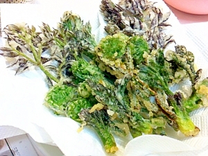 タラの芽と青コゴミの天ぷら