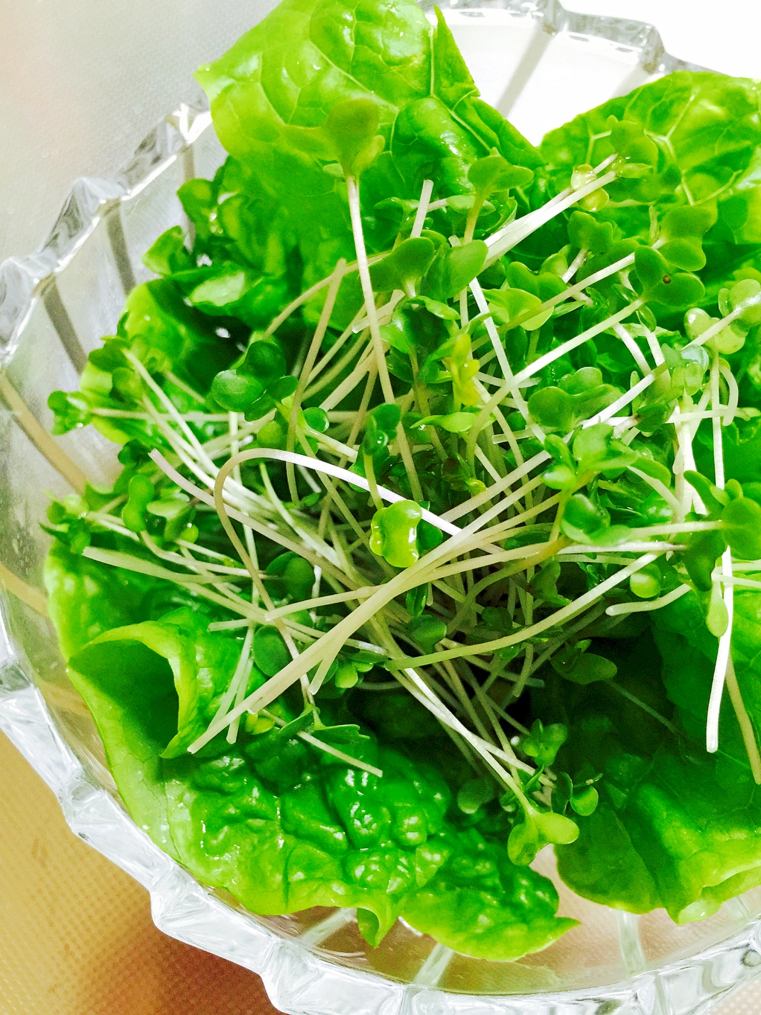 切るだけ!スプラウトとサンチュの緑の簡単サラダ