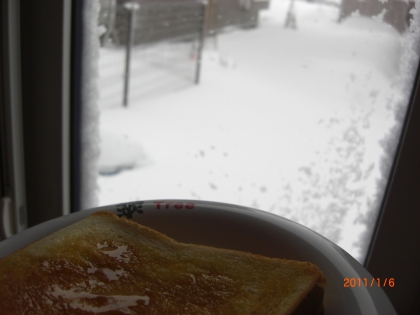 megちゃん。おはよう！！今日は、窓にまで、雪がへばりついて、しんしんと降っている北海道です。吹雪くと窓につくんだよね～。朝パンに今日もきちんといただきました～
