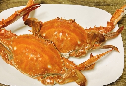 渡り蟹の茹で方と身の取り出し方