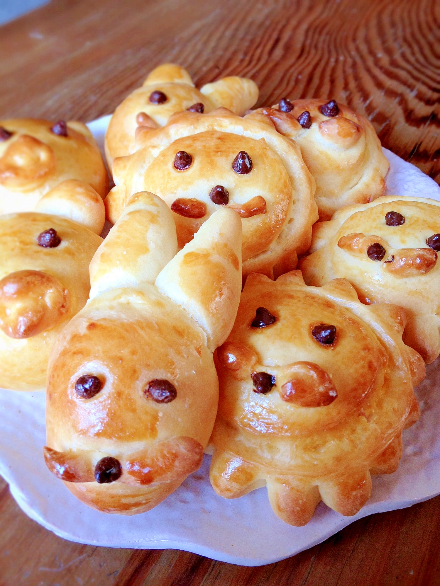 子どもと一緒に作ろう 動物パン レシピ 作り方 By 豪yukarin 楽天レシピ 子どもと一緒に作ろう 動物パン レシピ 作り方 By 豪yukarin 楽天レシピ