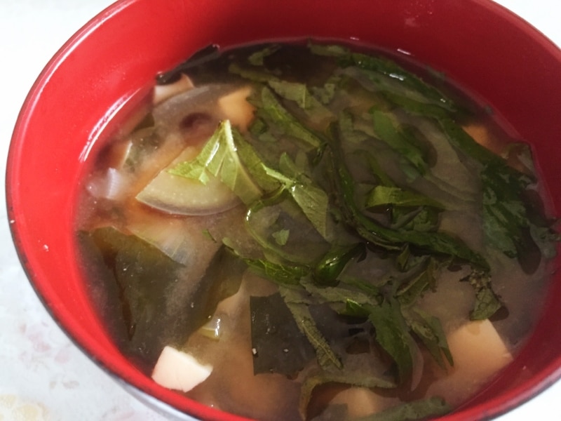 しそたっぷり！ナスの味噌汁 レシピ・作り方 by たかまさ20010911