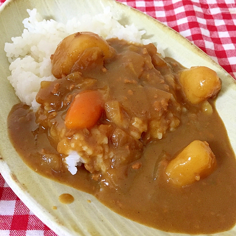 白い皿に盛られたポトフリメイクカレー