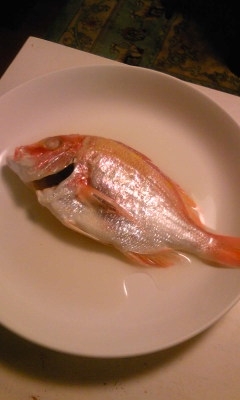 レンコ鯛を日本酒だけで煮て、わさび醤油で。