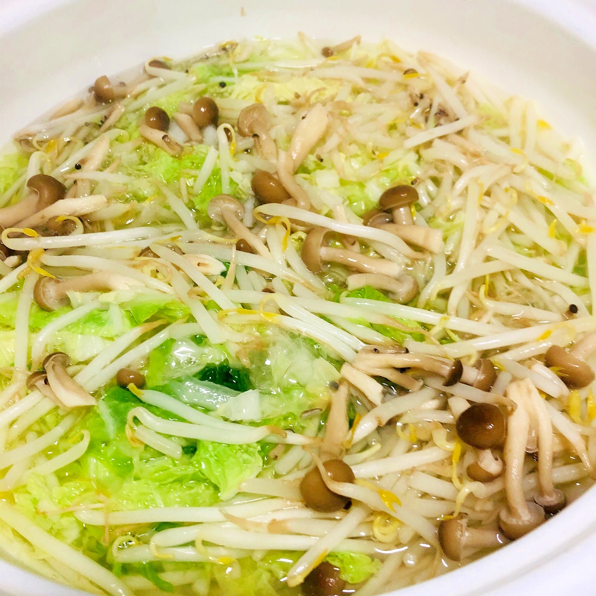 野菜 のみ 鍋