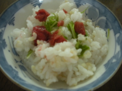 酢飯を使って☆梅とミョウガの混ぜご飯