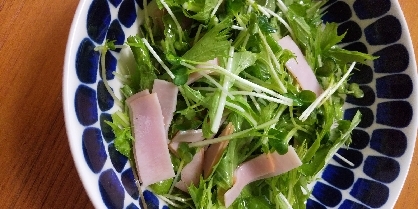 水菜とカイワレ大根とハムのあっさりサラダ