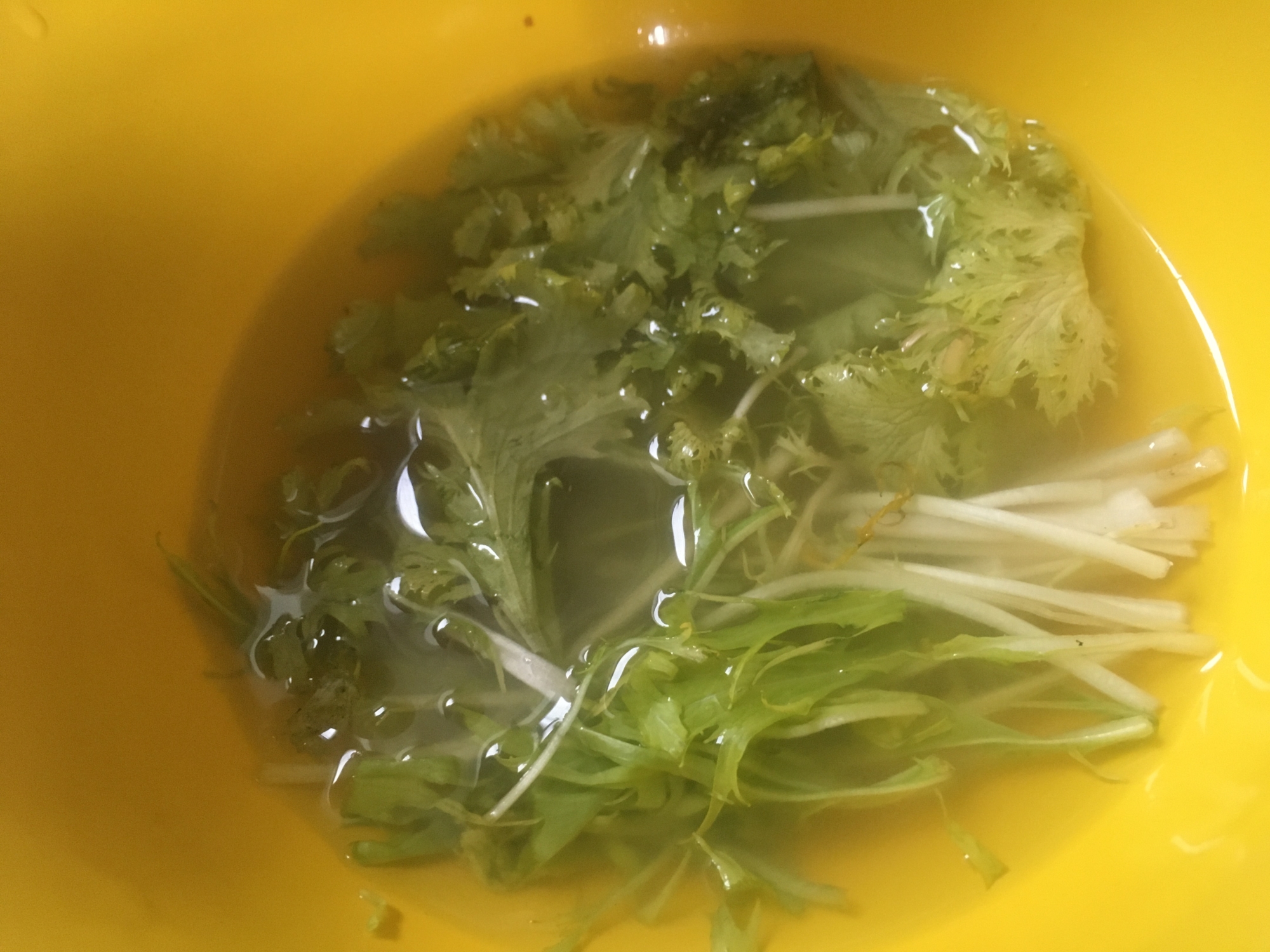 水菜とワサビ菜の味噌汁