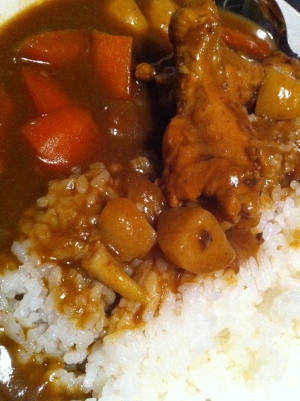 まるごとチキンカレー