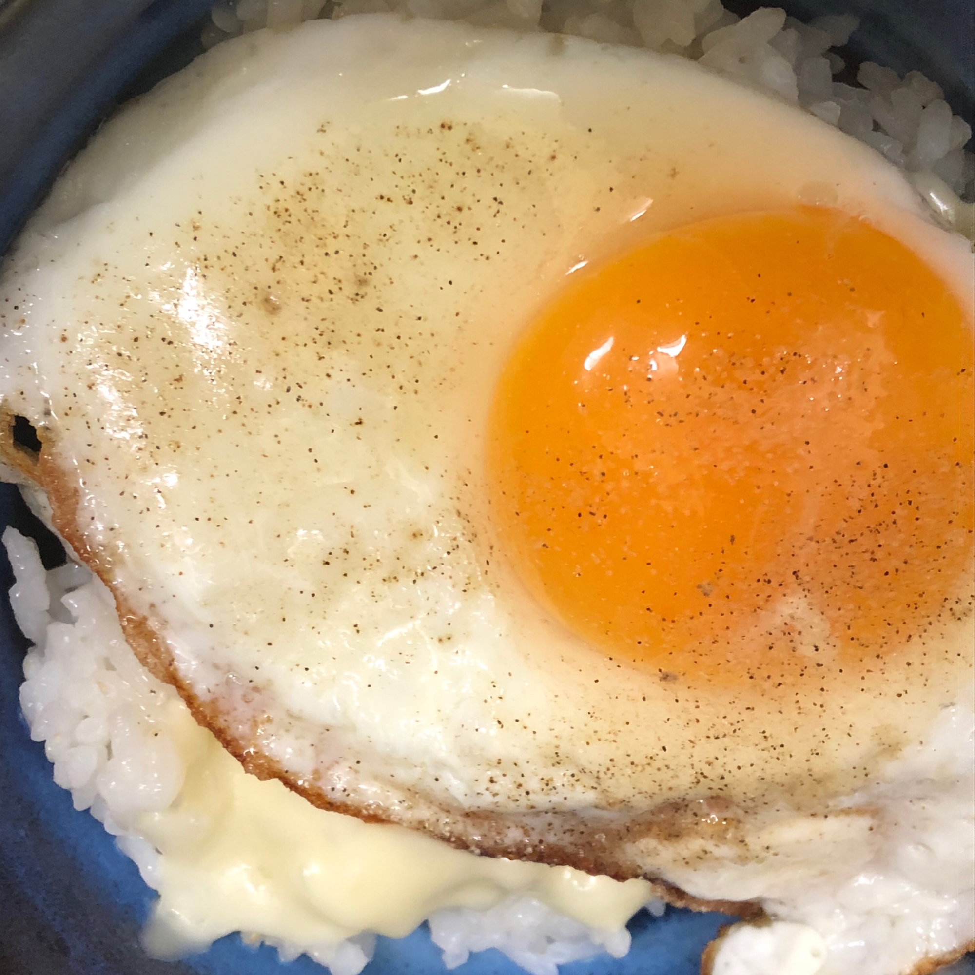 目玉焼き丼(チーズ)