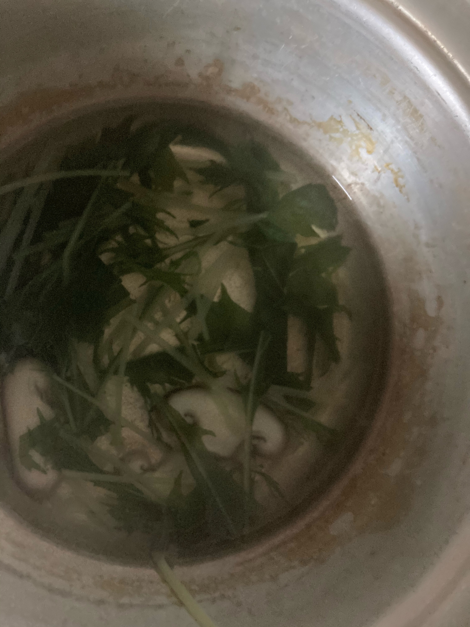スープジャーレシピ♪水菜と椎茸のスープ