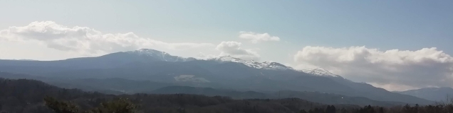 福島に移り住みし者