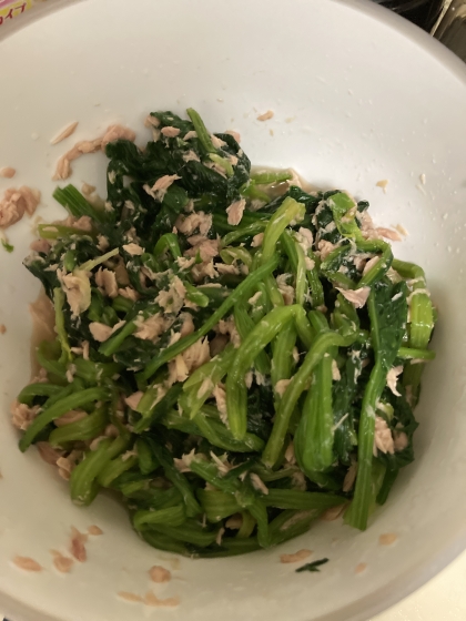 めんつゆ多めで作りました。