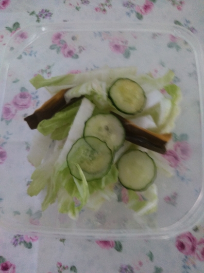 抱えて食べたい♡白菜ときゅうりの旨み塩昆布和え