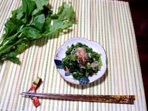 かぶ菜のおひたし レシピ 作り方 By Yumi1522 楽天レシピ かぶ菜のおひたし レシピ 作り方 By Yumi1522 楽天レシピ