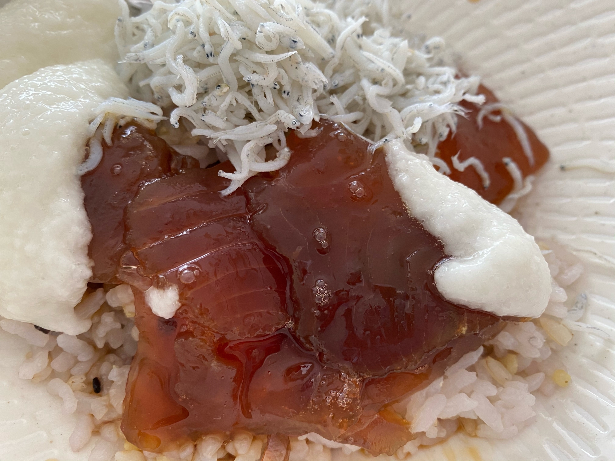 マグロの山掛け丼