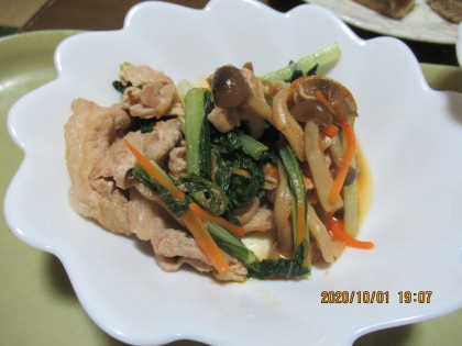 豚バラ肉と小松菜のコチュジャン炒め