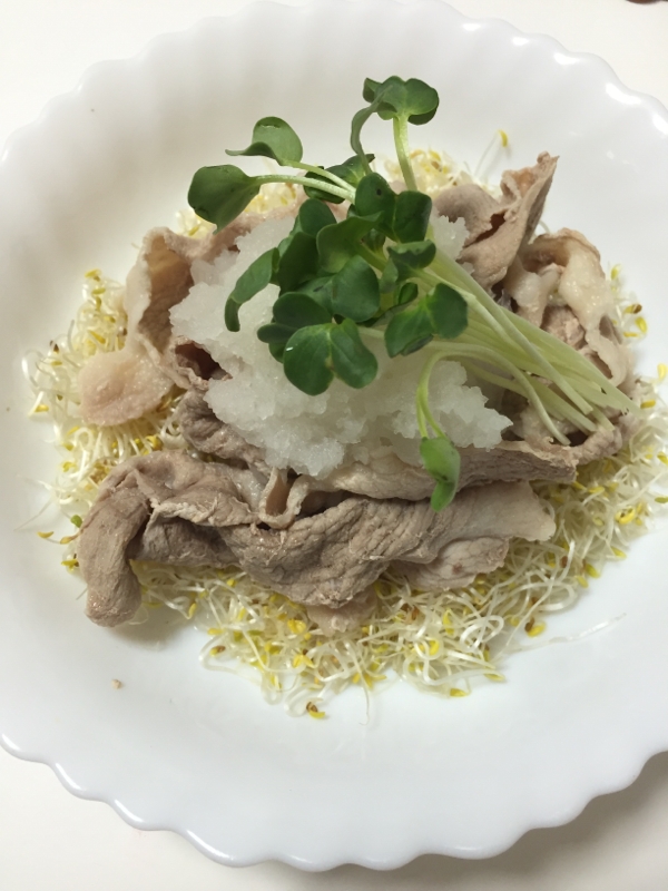 ダイエット飯!タンパク質と食物繊維