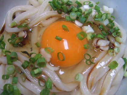 釜揚げうどん