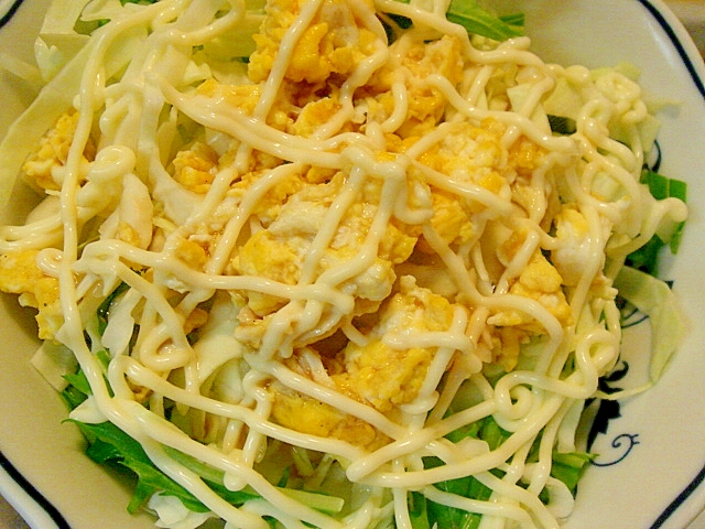 炒り卵と水菜、キャベツのポンマヨサラダ