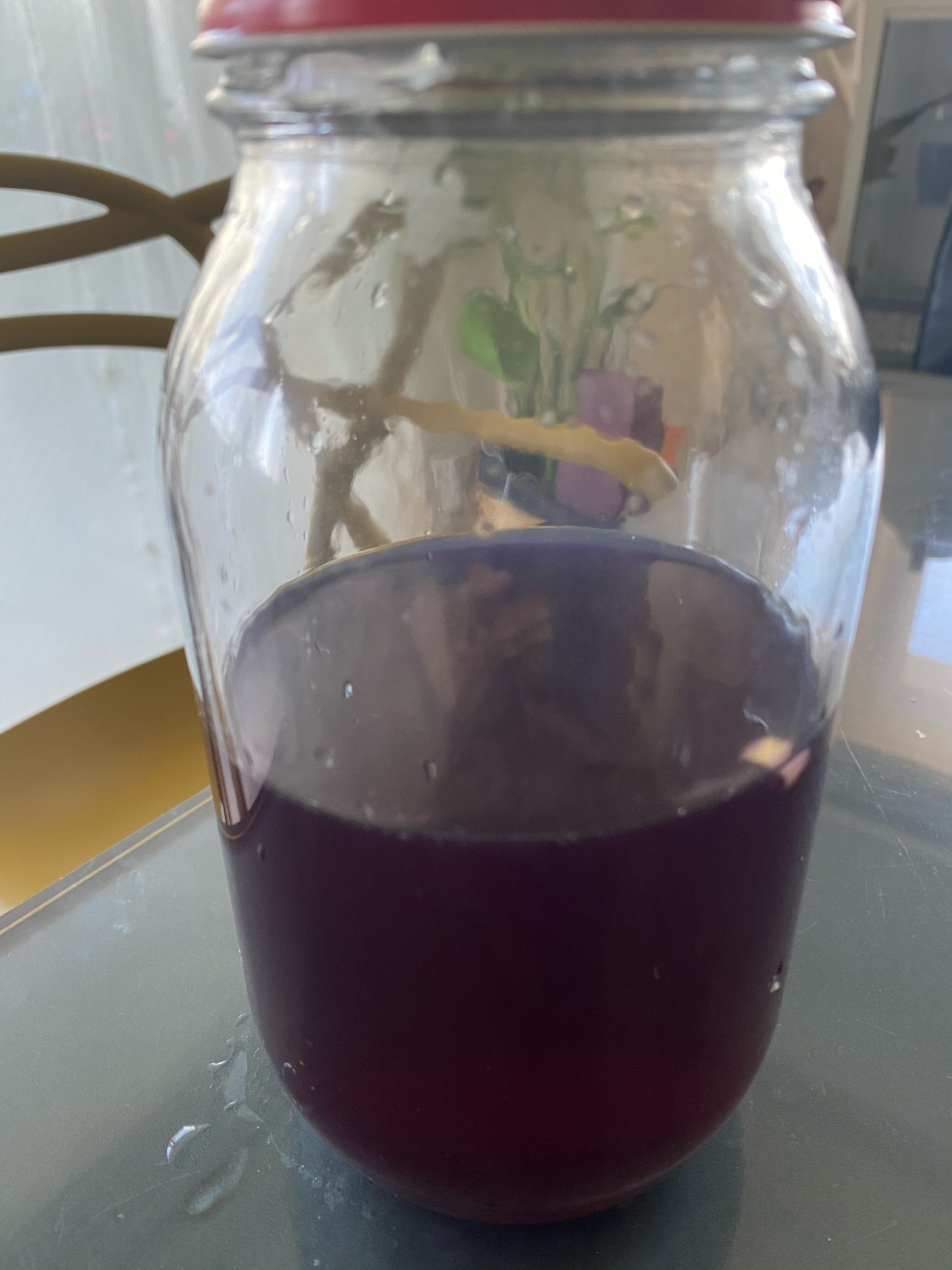 ハーブコーディアル バタフライピー レシピ 作り方 By てげてげ 楽天レシピ ハーブコーディアル バタフライピー レシピ 作り方 By てげてげ 楽天レシピ