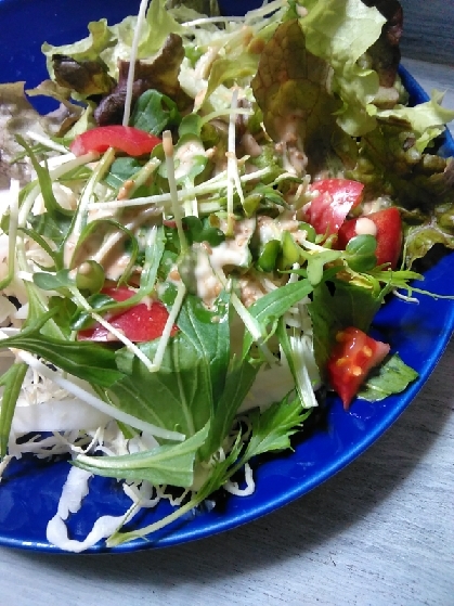 トマトと水菜と豆苗のサラダ