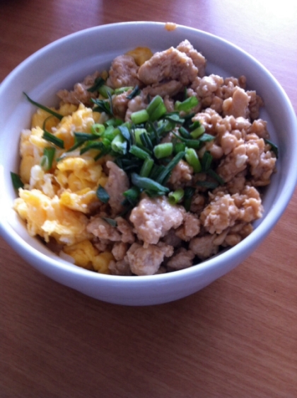 鳥そぼろの2色丼