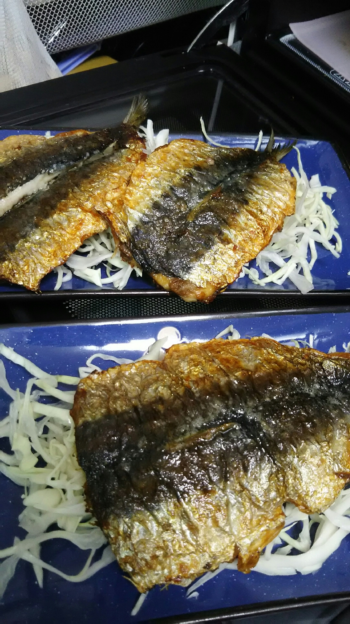 皮パリ焼きいわし