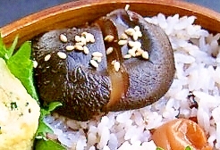 お弁当の常備菜★椎茸の含め煮