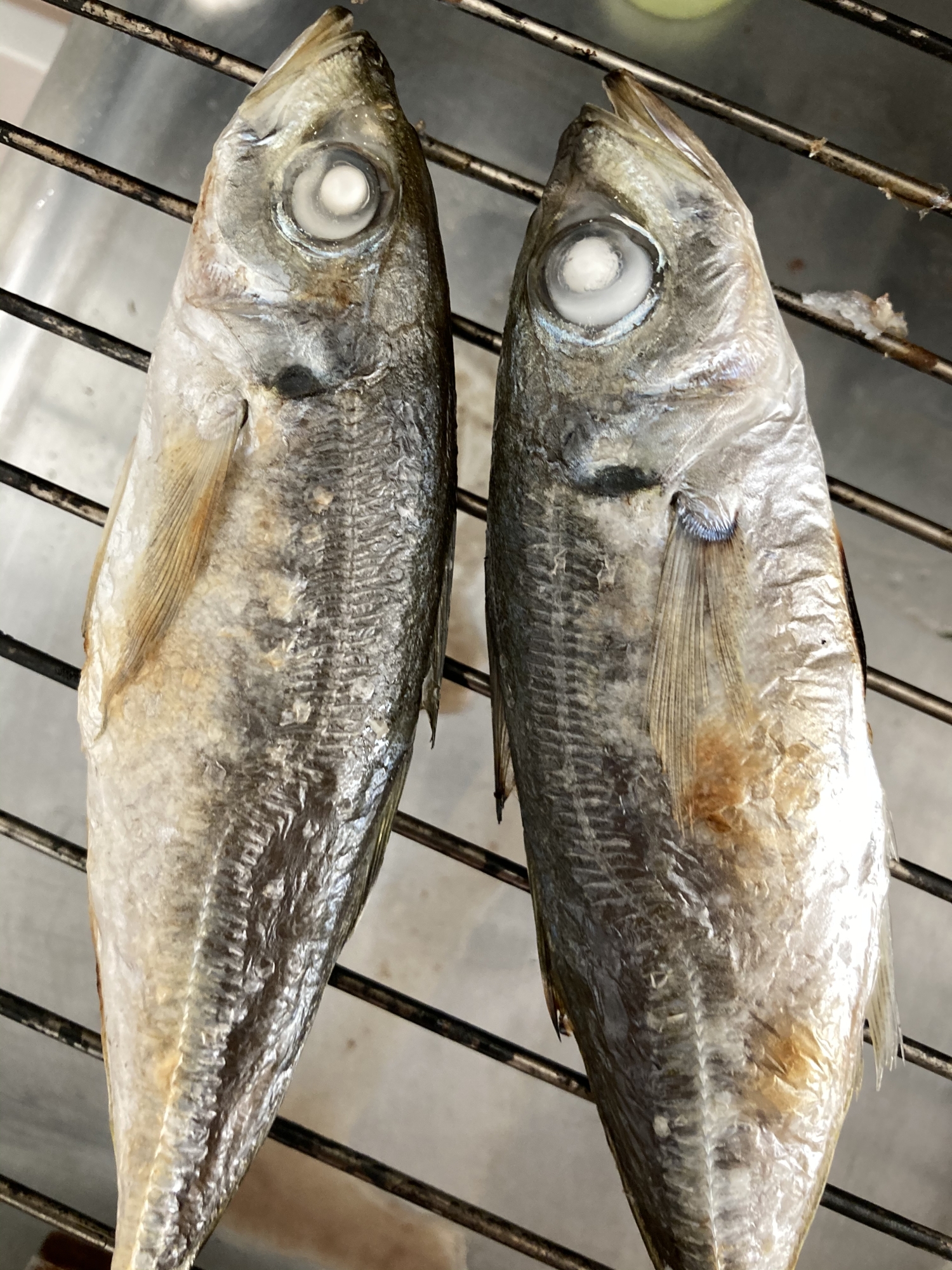 一晩塩漬け小アジ レシピ 作り方 By へんてこへんてこママ 楽天レシピ 一晩塩漬け小アジ レシピ 作り方 By へんてこへんてこママ 楽天レシピ