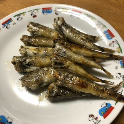 グリルで簡単！ めひかりの焼き方