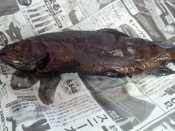 ニジマスの燻製と菜花のスパゲッティ 早春 レシピ 作り方 By ガブリエル8世 楽天レシピ ニジマスの燻製と菜花のスパゲッティ 早春 レシピ 作り方 By ガブリエル8世 楽天レシピ