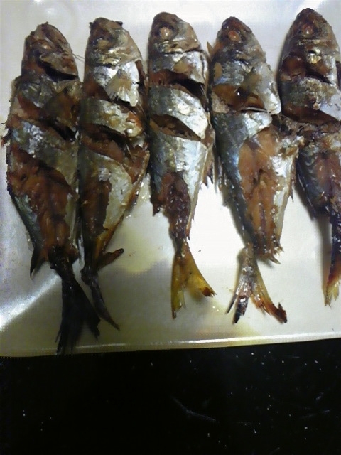 小さい真あじを煮つけして焼く レシピ 作り方 By Katsura K 楽天レシピ 小さい真あじを煮つけして焼く レシピ 作り方 By Katsura K 楽天レシピ