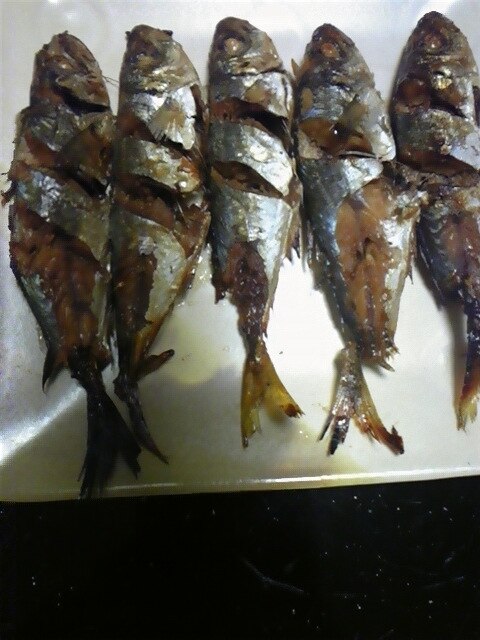 小さい真あじを煮つけして焼く レシピ 作り方 By Katsura K 楽天レシピ 小さい真あじを煮つけして焼く レシピ 作り方 By Katsura K 楽天レシピ