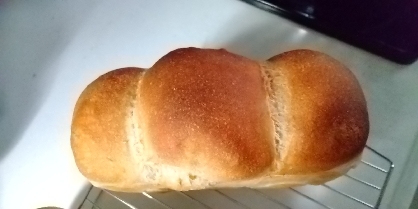 【ママパン】パリッとしたクラストの山型食パン