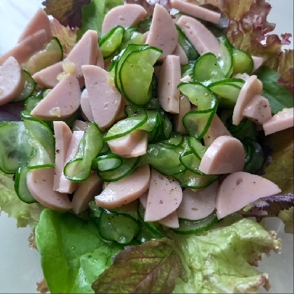 きゅうりと魚肉ソーセージの黒胡椒ナムル
