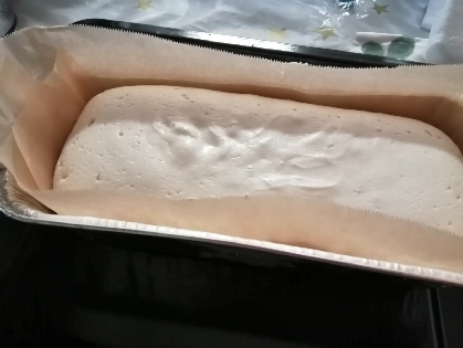 リベンジ成功！！
型が大きいので高さが出ませんが、、一次発酵でちゃんと膨らみました（画像）
外はカリカリ！中はモッチリ〜☆
ちゃんとパンです！！またつくります!